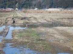 液状化により沈下した農道と農地